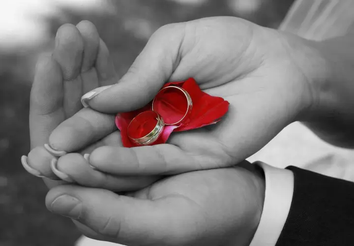 Dłonie trzymają płatek róży z obrączkami. Czy nauki przedmałżeńskie są obowiązkowe?
