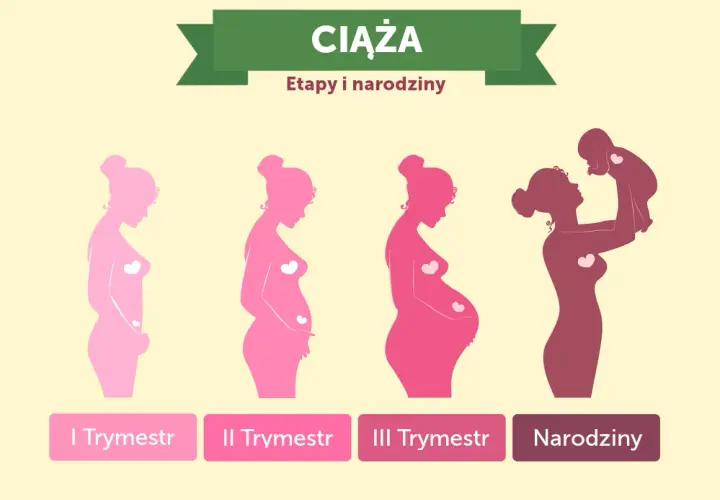 Ile trwają badania prenatalne? Czas oczekiwania na wyniki planuj bez stresu!