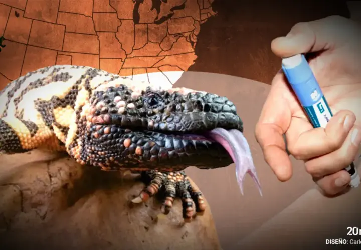 Un monstruo de gila bebé, con su lengua bífida rosada, se asoma cerca de una mano que sostiene una pluma de insulina. Un mapa de EE. UU. se ve al fondo.