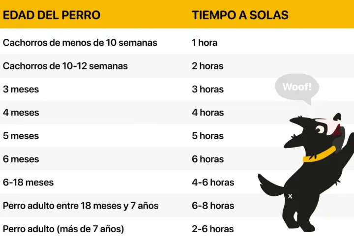 Tabla que indica el tiempo máximo recomendado para dejar al perro solo en casa según su edad. Un perro feliz es un perro bien cuidado.