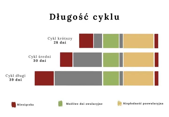 Kiedy występuje owulacja? Poznaj kluczowe informacje o cyklu miesiączkowym