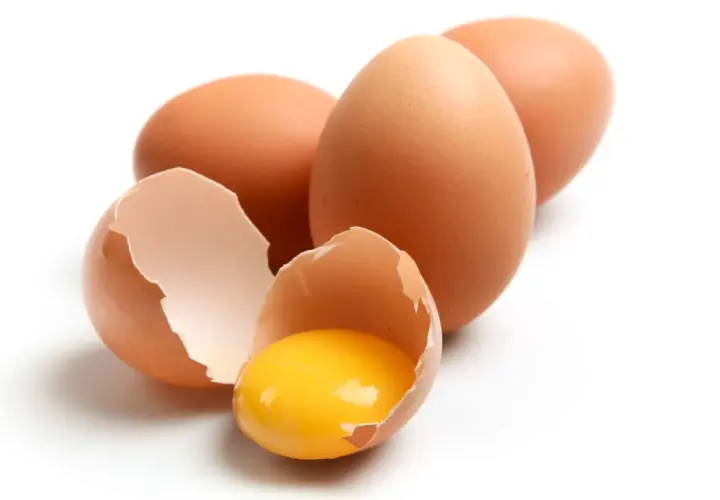 Huevos marrones, uno roto mostrando la yema brillante. ¡Un manjar que los perros pueden comer!