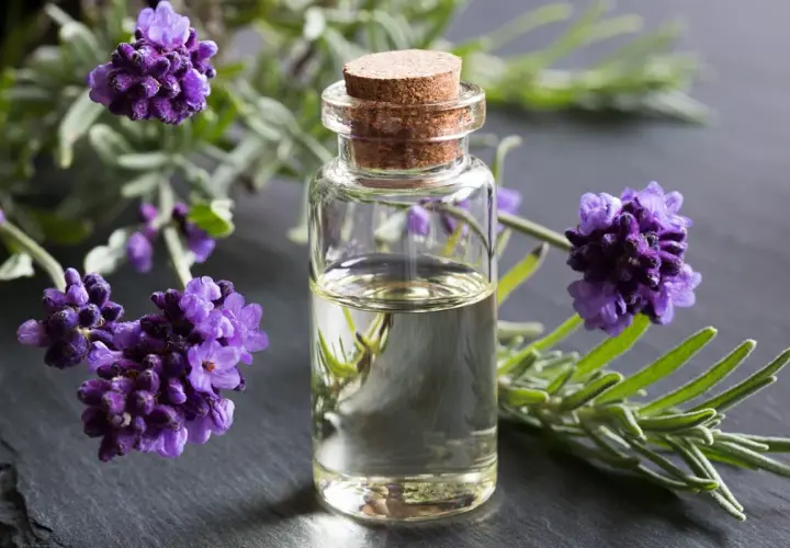 Huile de lavande dans un flacon, entourée de fleurs de lavande. Idéal pour apprendre comment faire de l'huile de lavande.