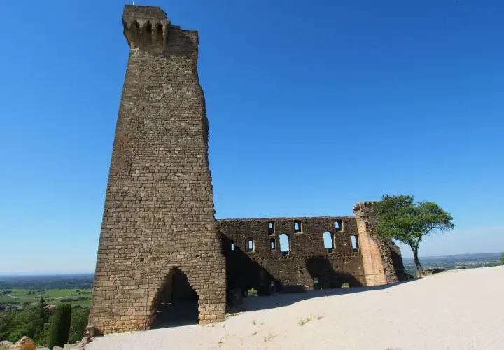 Ruinen der Burg von Châteauneuf-du-Pape, ein imposanter Turm und zerfallene Mauern unter blauem Himmel.