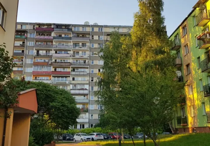 Co daje członkostwo w spółdzielni mieszkaniowej? Odkryj korzyści i zalety