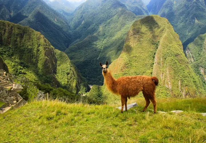 Kiedy jechać do Peru? Najlepszy czas na niezapomnianą podróż