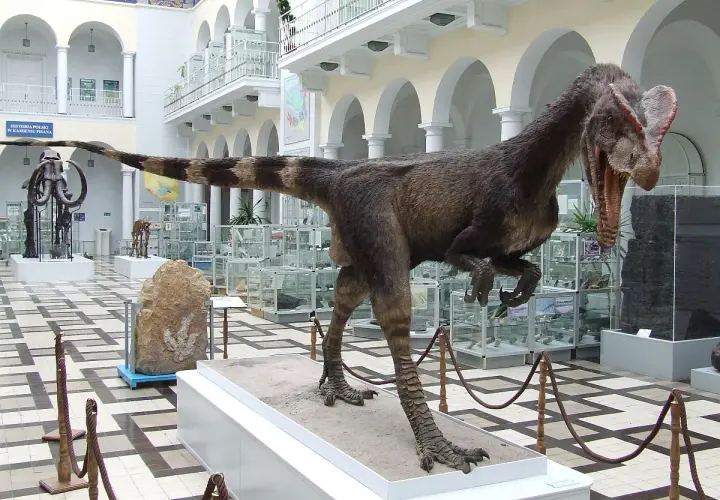 Dinozaur w Muzeum Geologicznym w Warszawie. W tle mamut i gabloty z eksponatami.