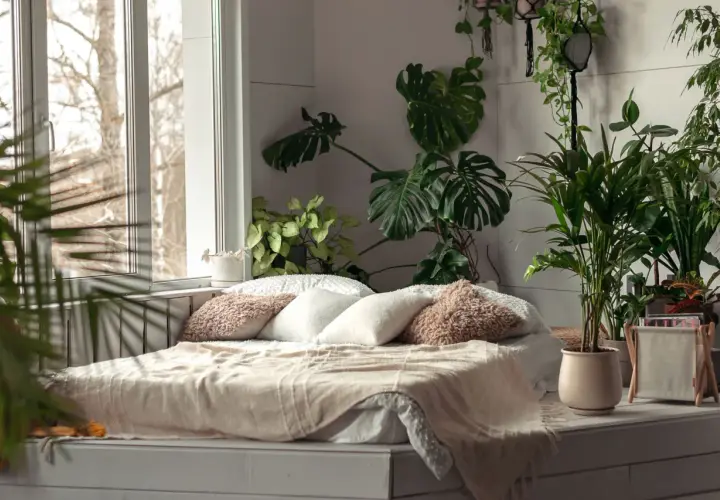 Un lit douillet dans une chambre remplie de verdure, avec un grand monstera dominant la scène.