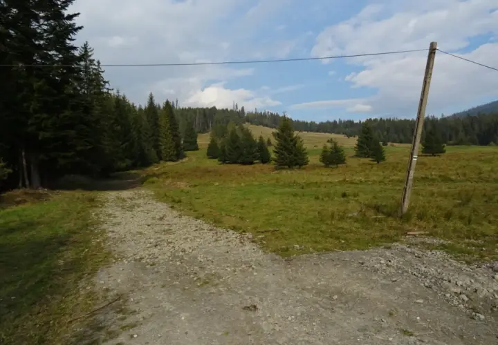 Zubrzyca Górna: Atrakcje, szlaki i praktyczne wskazówki na Orawie