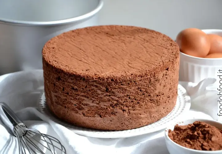 Un soffice pan di spagna al cacao, pronto per essere farcito. Ingredienti freschi come uova e cacao in polvere completano la scena.
