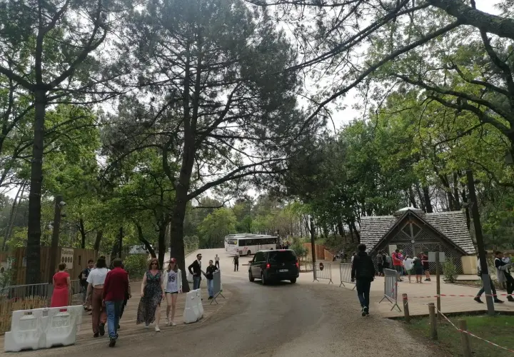L'aire de camping-car près de la Dune du Pilat accueille des visiteurs. Des bus et des voitures circulent sur la route bordée d'arbres.