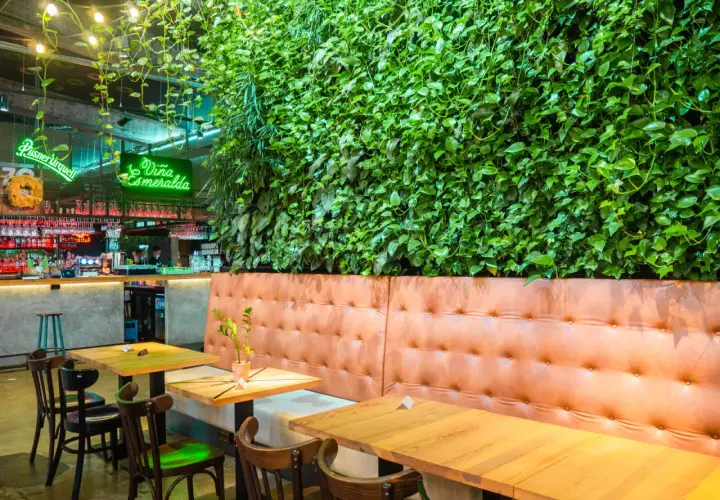 Wnętrze restauracji z zieloną ścianą, neonem "Viña Esmeralda" i wygodnymi lożami. Idealne miejsce na liście top 10 restauracji w Krakowie.