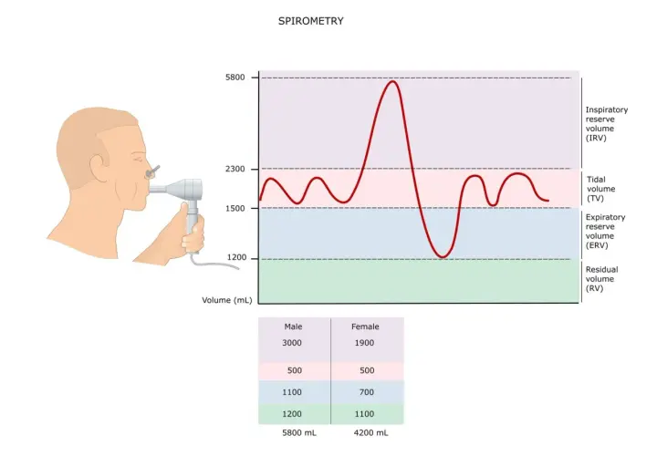 Ilustracja przedstawia badanie spirometria. Mężczyzna wykonuje pomiar objętości płuc za pomocą spirometru. Wykres pokazuje zmienność oddechu.
