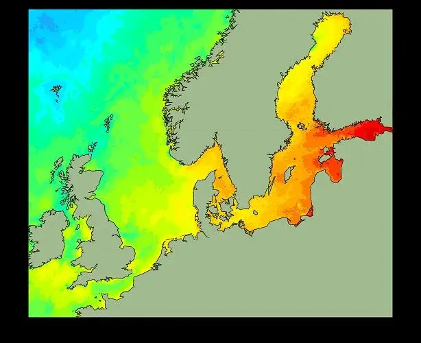 Temperatura wody w Bałtyku: Kiedy i gdzie jest najcieplej?