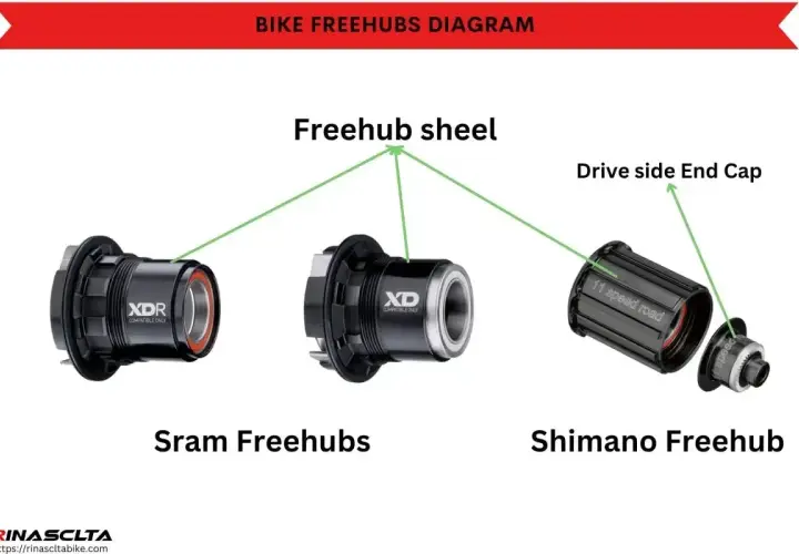 Porównanie różnych rodzajów bębenków rowerowych: SRAM XDR, SRAM XD i Shimano.