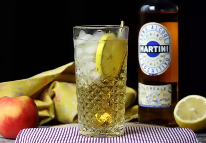 Orzeźwiający martini vibrante z lodem i cytryną, obok butelki Martini i owoców.