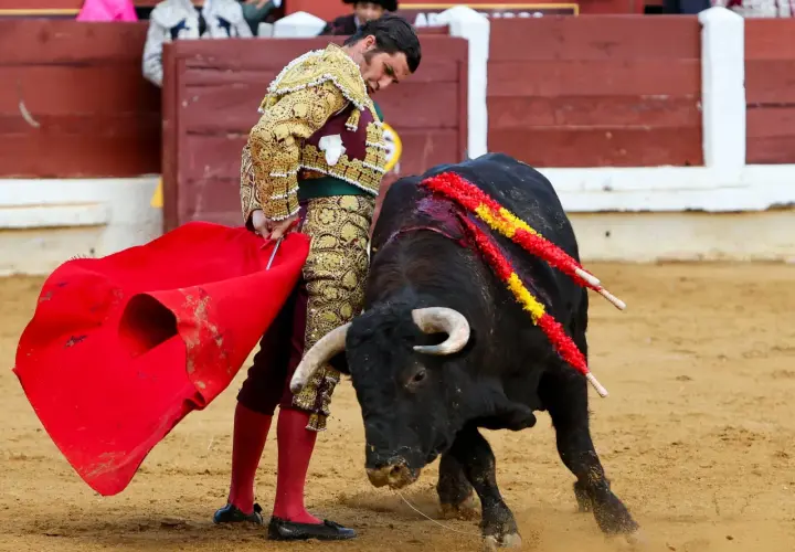Un torero con traje de luces se enfrenta a un toro bravo en la arena. Esto es parte de lo que es tauromaquia, una tradición española.