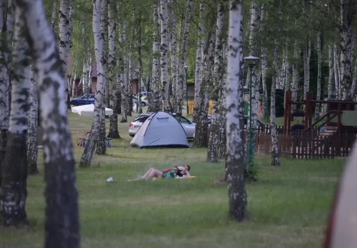 Relaks na trawie pod brzozami. Namiot i samochód na polu namiotowym. Idealne miejsce na **camping Dolny Śląsk**.