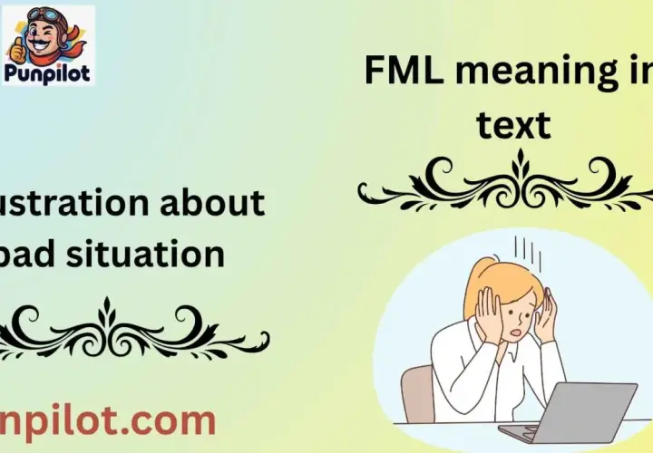 Spiegazione del significato di FML: frustrazione per una situazione negativa, con una donna stressata davanti al laptop.