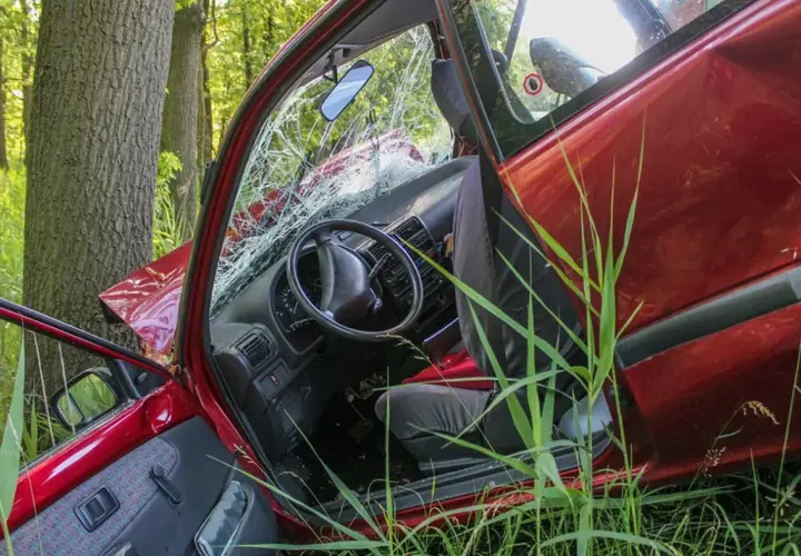Rozbite auto po zderzeniu z drzewem. Wypadki dzielimy na te, które można było uniknąć, i te, które się zdarzają.