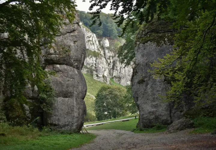 Wąwóz w Ojcowski Park Narodowy, zdominowany przez potężne skały wapienne i bujną zieleń.