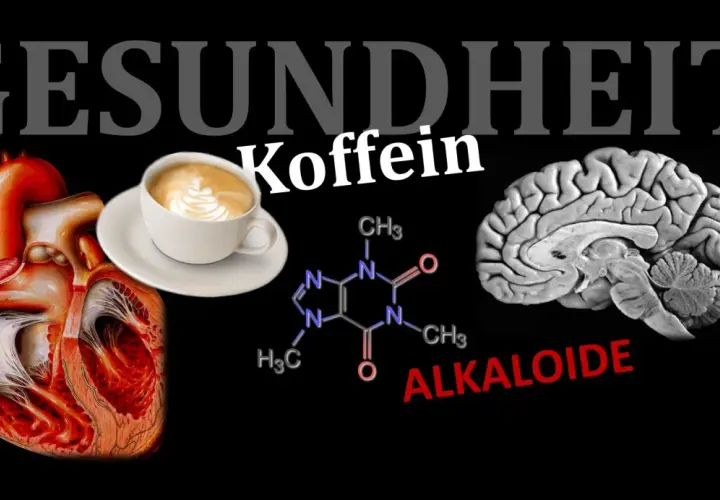Herz, Gehirn und Kaffeetasse: Wie Koffein auf unseren Körper wirkt. Die chemische Formel zeigt, wie Koffein ziehen kann.