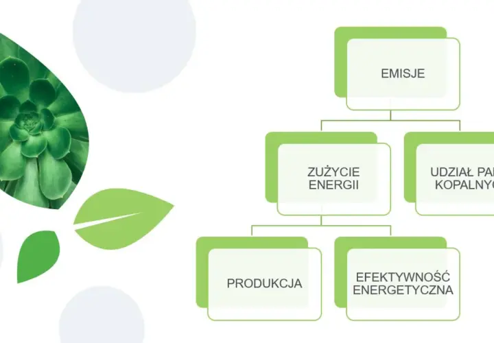 Jak emisja CO2 w g/km wpływa na środowisko i jak ją skutecznie zmniejszyć?