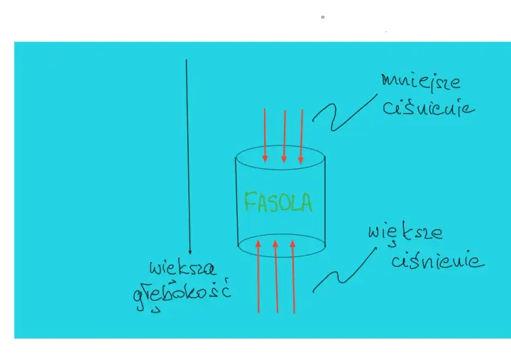 Ilustracja pokazuje cylinder z napisem "FASOLA", na który działają siły spójności. Strzałki wskazują na mniejsze ciśnienie u góry i większe u dołu, co symbolizuje większą głębokość.