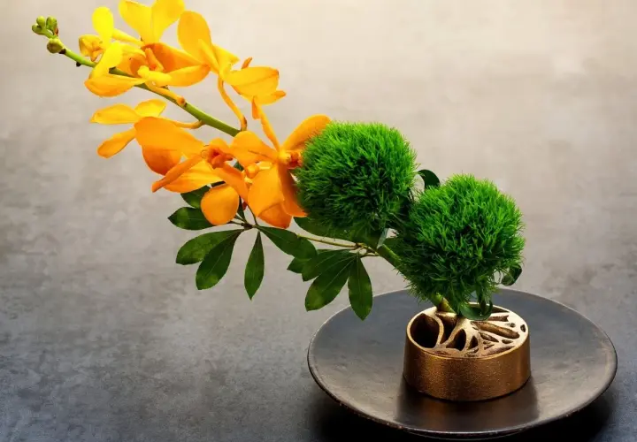 Elegante Ikebana Beispiele: leuchtend orangefarbene Orchideen und zwei grüne, kugelförmige Blüten auf einem dunklen Teller in einem kunstvollen goldenen Halter.