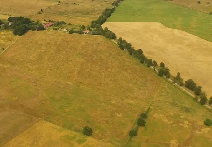 Widok z lotu ptaka na pola uprawne i zadrzewienia. Widać ślady po niwelacji terenu, przygotowujące go pod nowe uprawy.