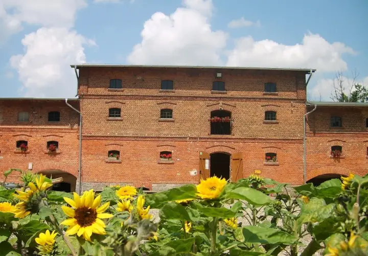 Mniszki Skansen: Odkryj zanikające rzemiosła i lokalną historię