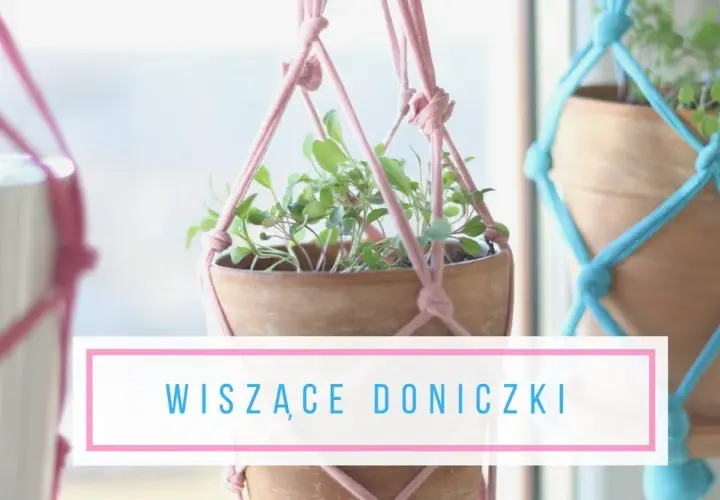 Jak zrobić wiszącą doniczkę - proste sposoby i materiały, które zaskoczą