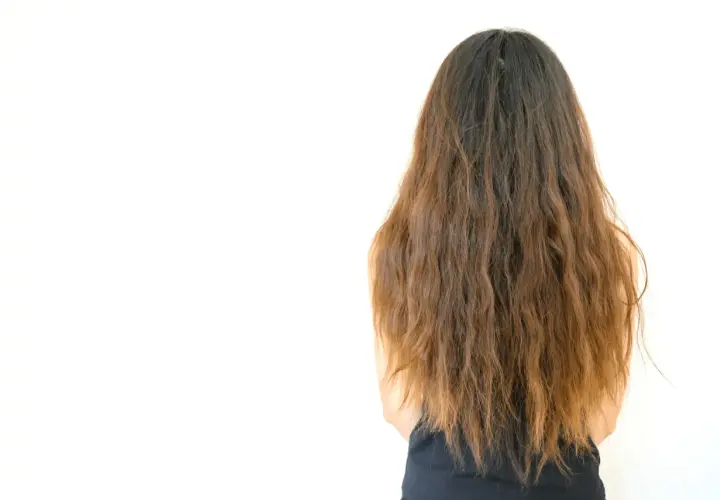 Cabello largo y castaño, con puntas secas. Descubre cómo hidratar el pelo para un aspecto saludable y brillante.