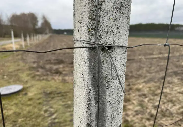 Jaka odległość między słupkami ogrodzenia z siatki zapewni trwałość?