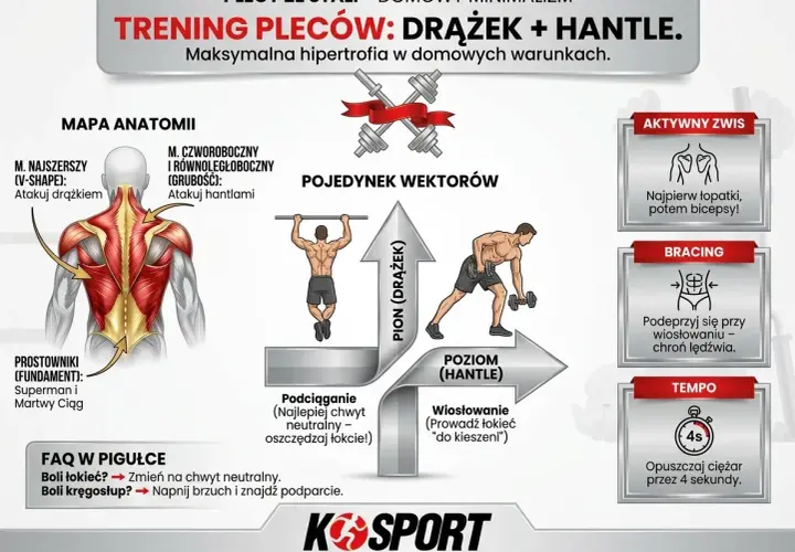 Trening pleców w domu z drążkiem i hantlami. Ilustracja pokazuje anatomię pleców, wektory ruchu (pion i poziom) oraz ćwiczenia: podciąganie i wiosłowanie.