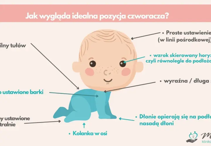 Idealna pozycja czworakowania: stabilny tułów, nisko barki, stopy neutralnie, kolanka w osi, głowa prosto, wzrok poziomo, szyja wyraźna.