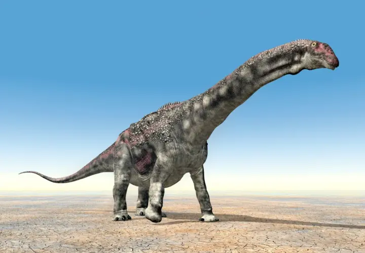 Długoszyi dinozaur roślinożerny, o szarej skórze z różowymi plamami, kroczy po spękanej ziemi pod błękitnym niebem.