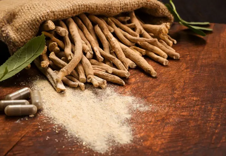 Racines d'ashwagandha dans un sac en toile, poudre et gélules. Attention à l'ashwagandha danger potentiel.