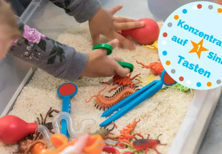Kinder erforschen mit Spielzeug-Insekten und Reiskörnern eine Sensorik Wanne. Tolle Ideen für spielerisches Lernen und Konzentration auf den Tastsinn.