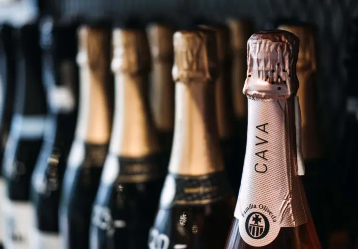 Reihe von Flaschen mit Cava Sekt, die auf eine Feier warten.