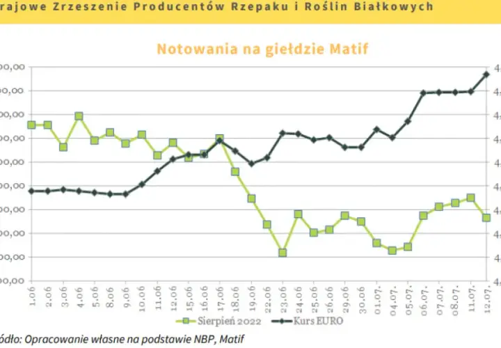 Rzepak w skupie 2026: Jak uzyskać najlepszą cenę?