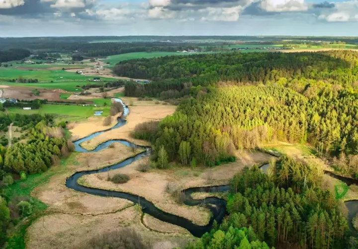 Malowniczy krajobraz z krętą rzeką, lasami i polami. Wspaniały przykład pięknych parków krajobrazowych w Polsce.