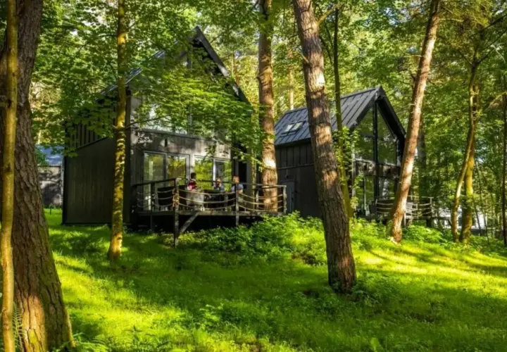 Nowoczesny hotel w lesie, z drewnianymi domkami i tarasem, otoczony zielenią.