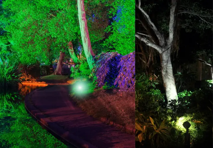 Magiczny ogród nocą: oświetlenie drzewa tworzy tęczową poświatę nad wodą i ścieżką.