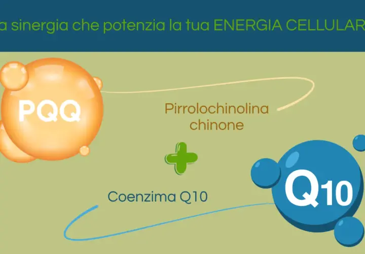 PQQ (Pirrolochinolina chinone) e Coenzima Q10: la sinergia che potenzia la tua energia cellulare.