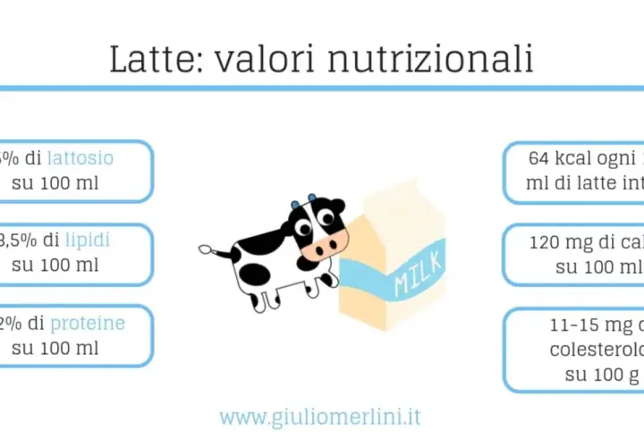 Latte intero valori nutrizionali: 64 kcal, 3,5% lipidi, 3,2% proteine, 5% lattosio, 120mg calcio e 11-15mg colesterolo per 100ml/g.