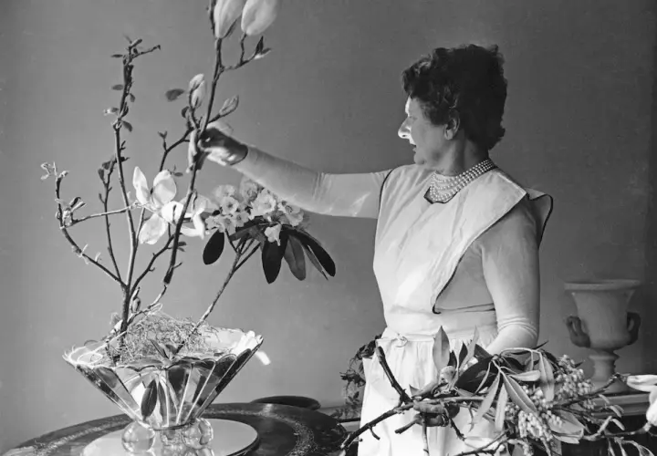 Constance Spry, en pionjär inom blomsterkonst, arrangerar magnoliagrenar och rhododendron i en elegant vas.