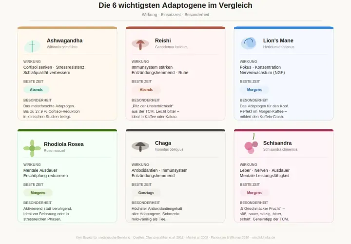Vergleich der 6 wichtigsten Adaptogene: Ashwagandha, Reishi, Lion's Mane, Rhodiola Rosea, Chaga, Schisandra. Eine adaptogene Liste für verschiedene Bedürfnisse.