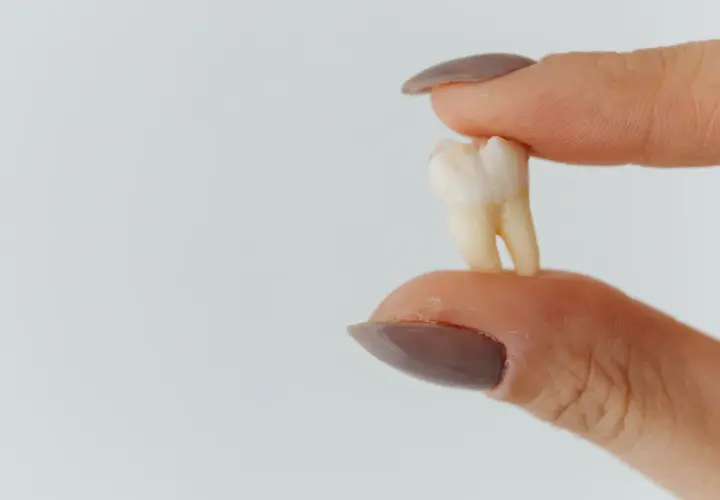 Co dentysta robi z wyrwanym zębem? Oto co musisz wiedzieć