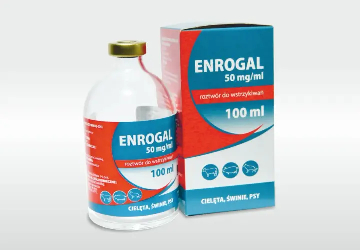 Butelka i pudełko leku ENROGAL 50 mg/ml, roztwór do wstrzykiwań 100 ml dla cieląt, świń i psów.